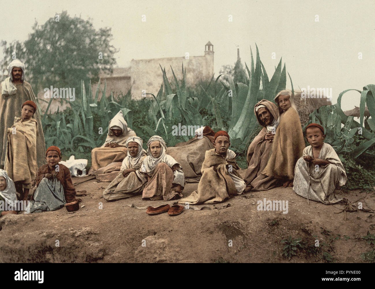 Algerians Arabs. - Image 4
